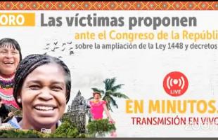 ley de victimas